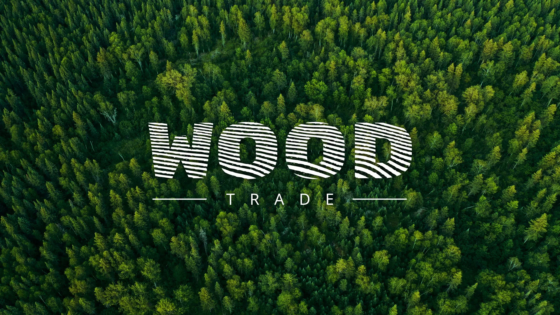 Разработка интернет-магазина компании «Wood Trade» в Тольятти